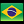 Português Brasil